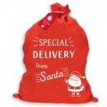 Christmas Basic Special Delivery Sack 60 X 50cm