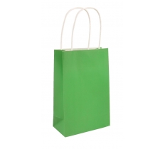 Green Paper Party Bag With Handles 14X21X7cm