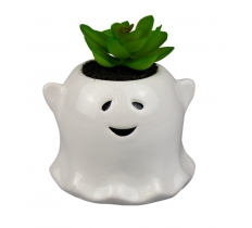 Halloween Ghost with Succulent 9cm