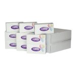 Softesse Family Size Facial Tissue X 24 ( 60p Each )