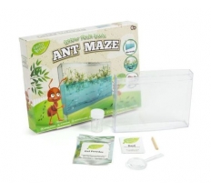 Ant Maze