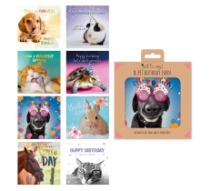 8 Mixed Pet Design Birthday Cards