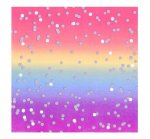 Rainbow Ombre 3Ply Paper Napkins 16 Pack