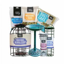 Bird Food & Feeders