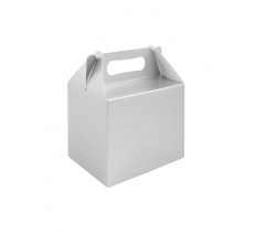 Silver Lunch Boxes ( Medium )