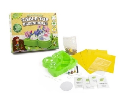 Grow & Decorate Your Own Table Top Greenhouse