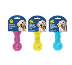 Spikey Squeaky Dog Toy