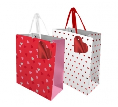 Valentines Day Medium Gift Bag