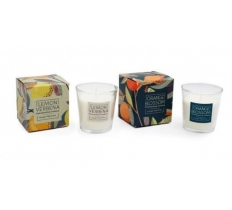 Citrus Zest Boxed Candle 7.5CM