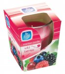 Clear Glass Candle - Wild Berries