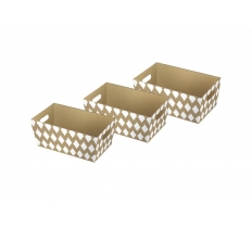 3PC KRAFT TRAYS INSTINCT