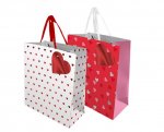 Valentines Day Large Gift Bag