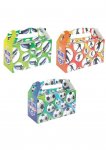 Football Lunch Boxes ( Large )