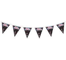 Party Bunting Controller Happy Birthday 11 flags 3.9m Hologr