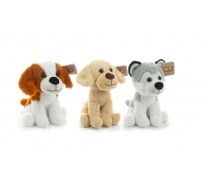 Plush Puppy 25cm ( Assorted Colours )