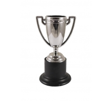 Mini Silver Trophies (10cm)