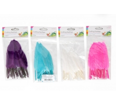 5G Coloured Craft Feathers