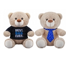 Fathers Day 8" Best Dad Ever Bear ( Assorted Designs )