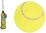 Grade A Tennis Balls 3 Pack