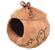 Coconut Bird House