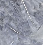 Eleganza Craft Feathers Mixed Sizes 3"-8" 8G Bag Silver