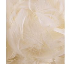 Eleganza Feathers Mixed Sizes 3Inch-5Inch 50G Bag Ivory