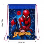 Spiderman Pull String bag