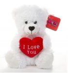 I Love You Heart Bear White 25cm