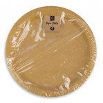 Biodegradable Paper Plates 10 Pack