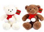 White / Brown Plush Bear 25cm ( Assorted Designs )