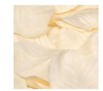 Eleganza Rose Petals - Cream 164Pcs