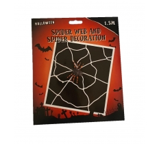 Halloween Spider Web & Spider