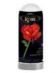 Rose In Dome