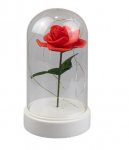 Valentines Day Led Rose Cloche 19cm