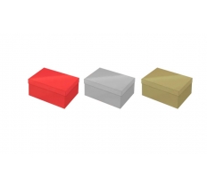 Rectangle Matte Metallic Gift Box 22cm x 14cm