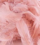 Eleganza Feathers Mixed Sizes 3Inch-5Inch 50G Bag Rose Gold