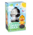 Paint Your Own Garden Duck