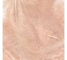 Eleganza Craft Marabout Feathers Mixed Sizes Rose Gold 8Gd