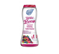 Foam Fresh With Wild Berry - 370G