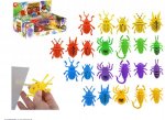 Window Racing Bug Insect ( Assorted Colours )
