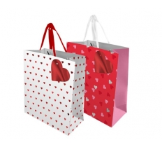 Valentines Day Large Gift Bag