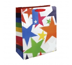 Multi Coloured Star Large Bag