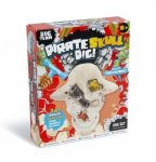Pirate Skull Dig