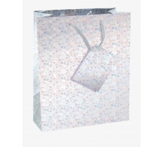 County Holographic Gift Bags Medium 17.5cm X 22.5cm X 10.5cm