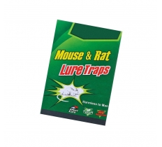GSD Mouse & Rat Folding Glue Lure Traps