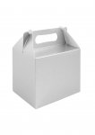 Silver Lunch Boxes ( Medium )