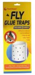 Fly Traps 4 Pack