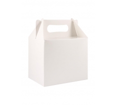 White Lunch Boxes ( Medium )