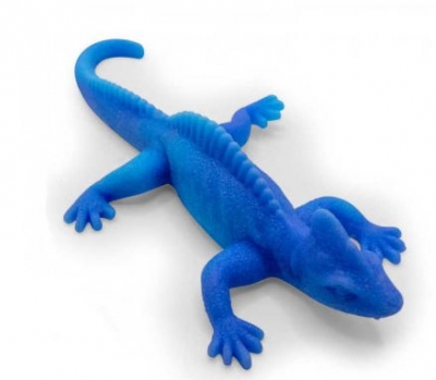 Colour Changing Lizard 13cm ( Assorted )