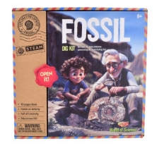 Fossils Excavation Kit In Colour Box